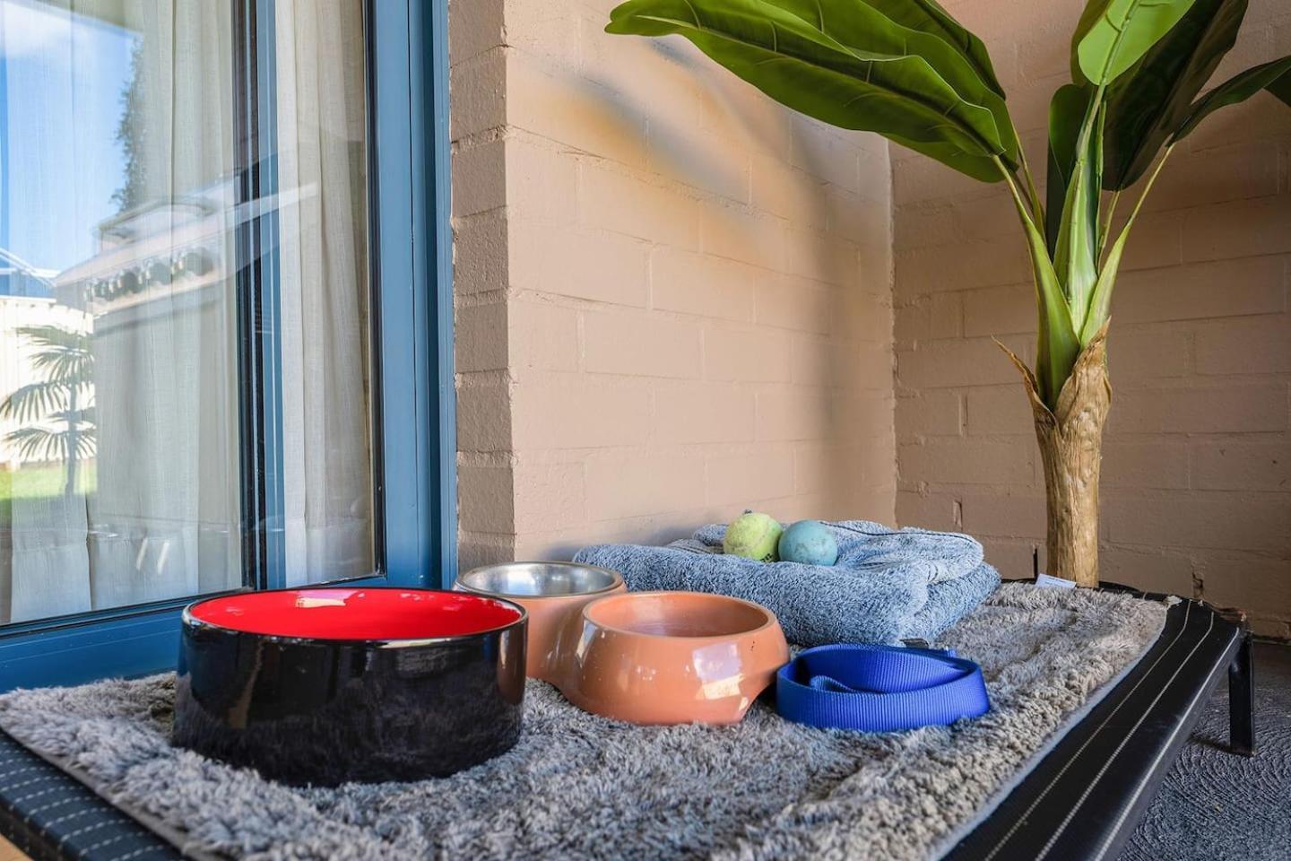 Apartment Nora's Place - Explore Mudgee's Wineries *
